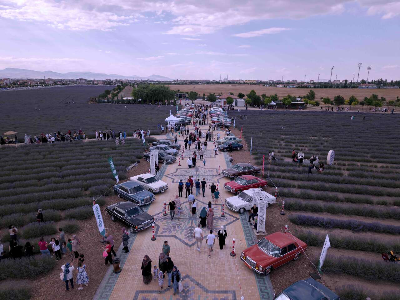 Konya’da lavanta festivali başladı! Binlerce kişi mor tarlalara akın etti 6
